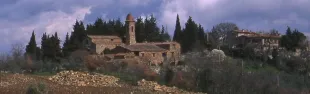 Pieve di San Pietro a Sillano