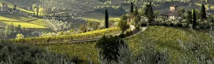 Paesaggio Unesco