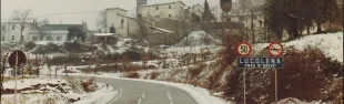 Lucolena