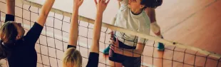 palestra