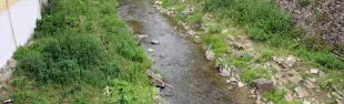 fiume greve