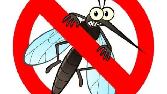stop alla zanzara tigre