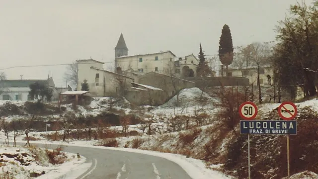 Lucolena