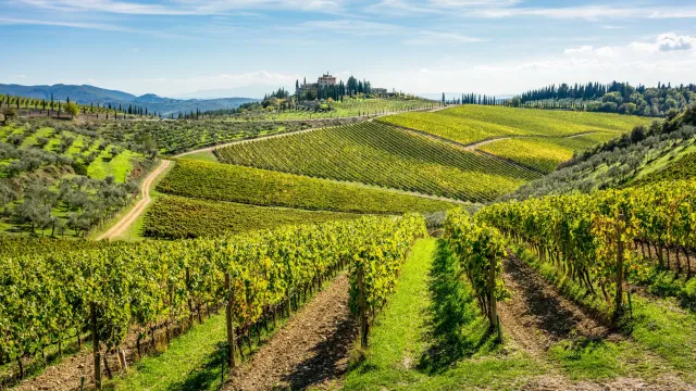 vigneti chianti