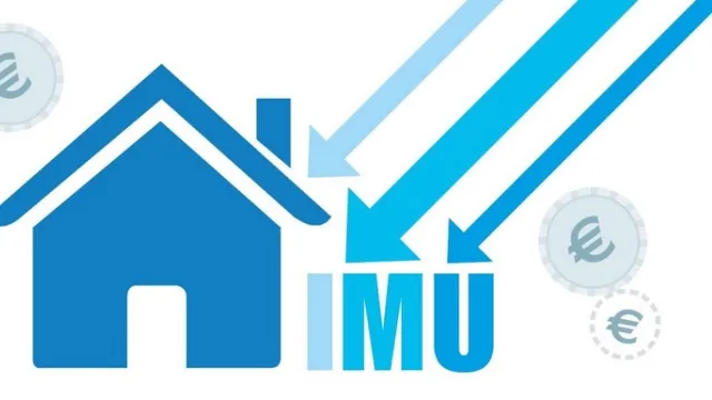 IMU